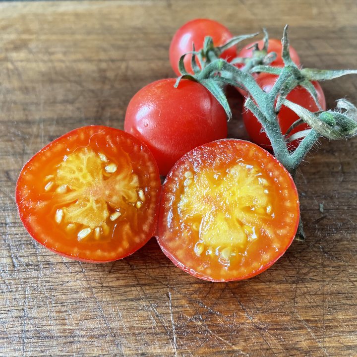 KARMA Apricot