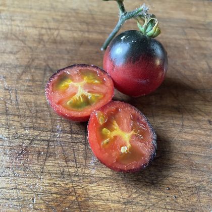 Just Can't Get Enough tomato fruit - photo 7