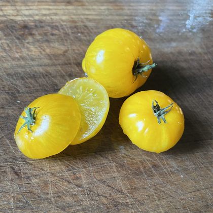 Dwarf Yellow Brick Road tomato fruit - photo 12