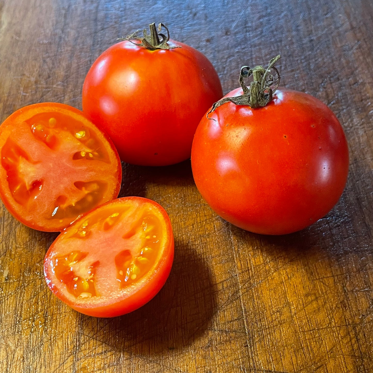 Abe Lincoln - Tomato Seeds - Heirloom Tomato - 25+ Seeds