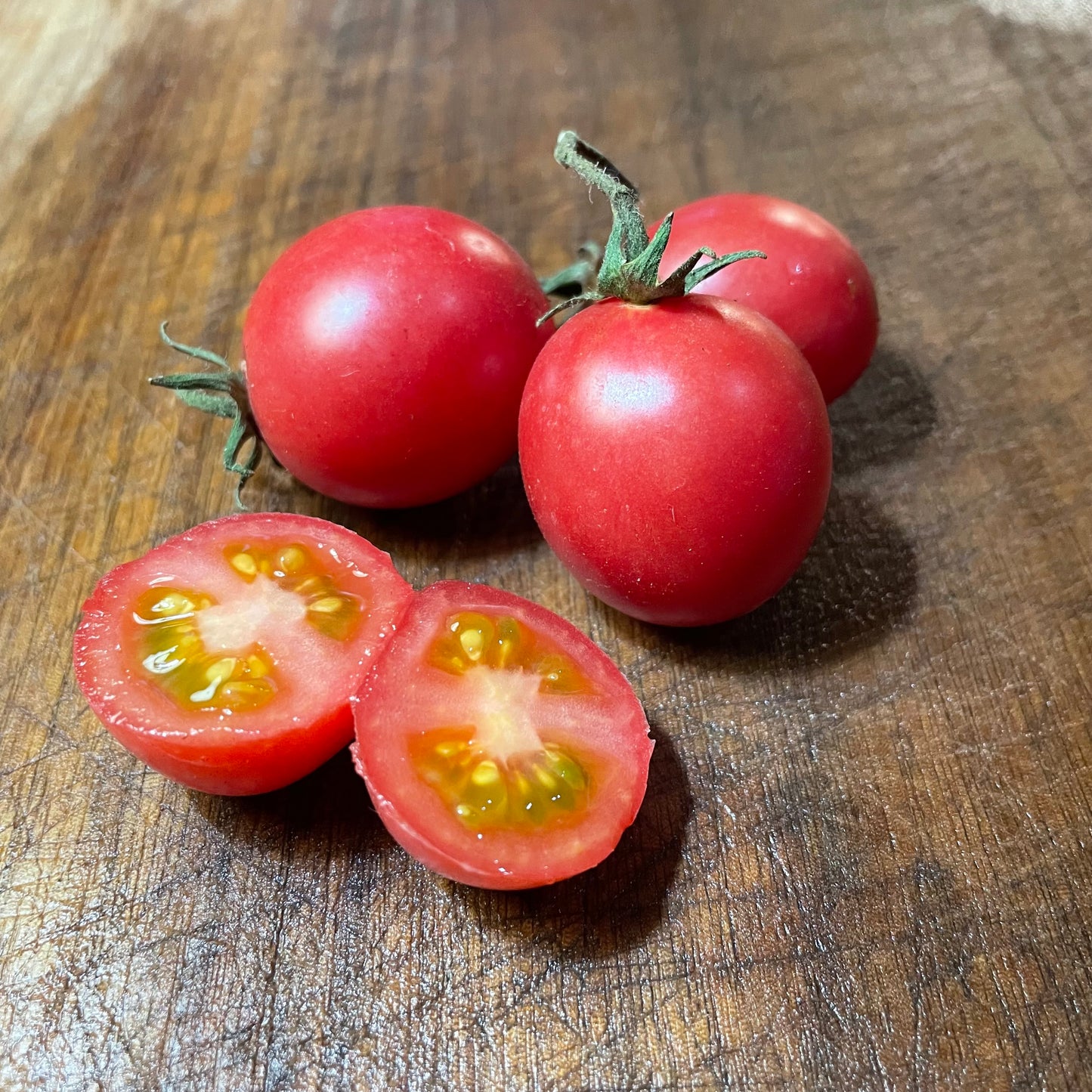 Tiny Tim - Graines de tomates - Tomates anciennes - 25+ graines