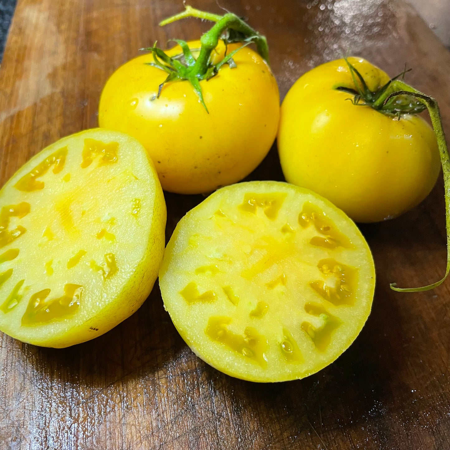 Dixie Golden Giant - Tomato Seeds - Heirloom Tomato - 25+ Seeds