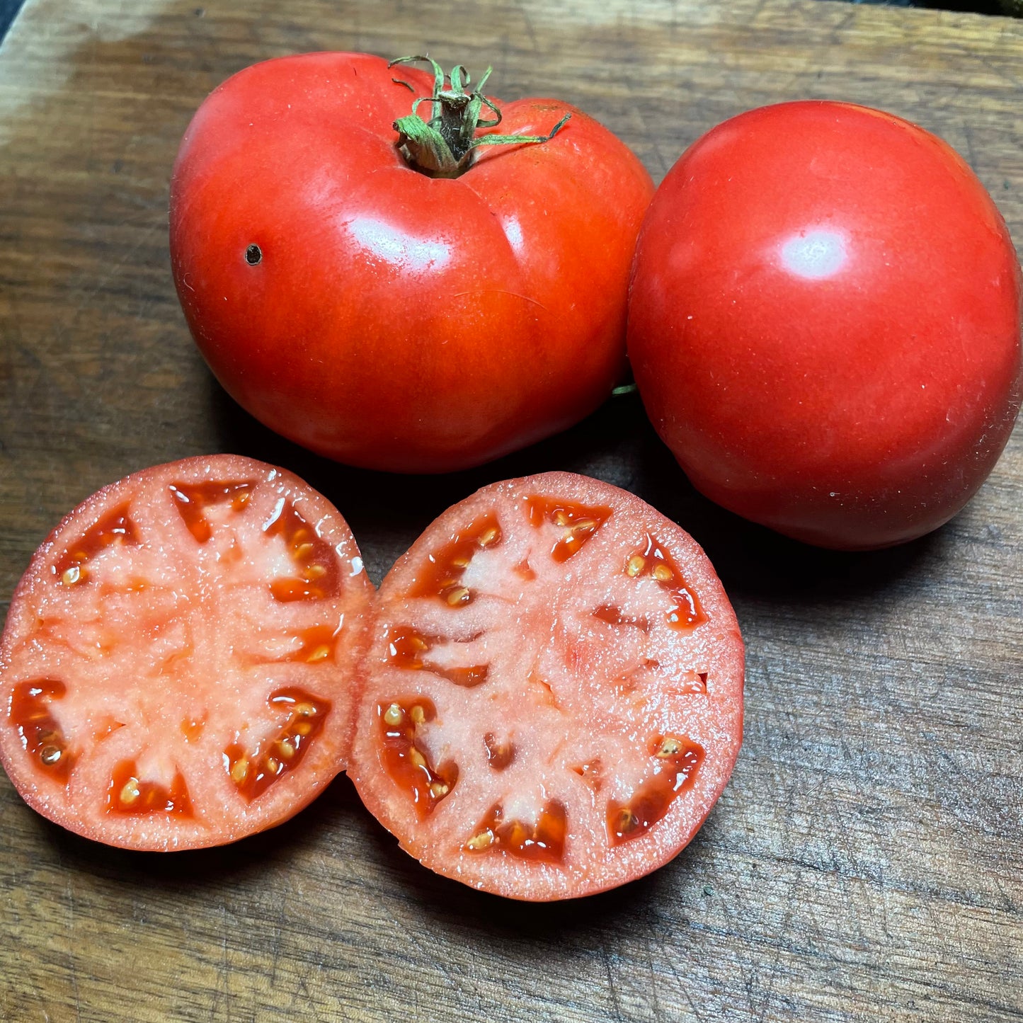 German Giant - Tomato Seeds - Heirloom Tomato - 25+ Seeds