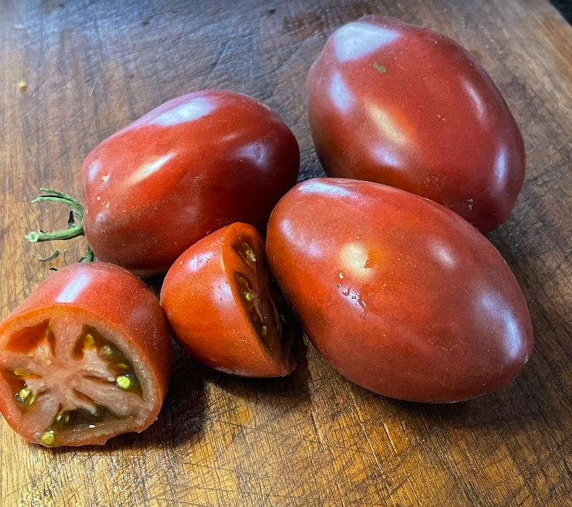 Purple Russian - Graines de tomates - Tomate héritage - 25+ Graines