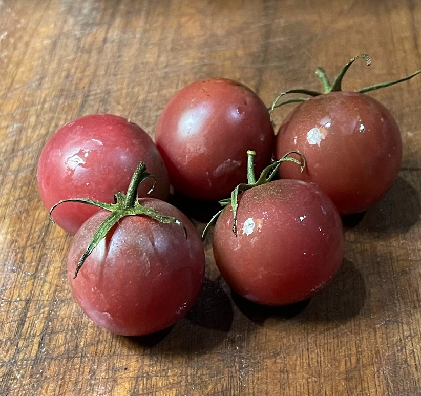 Black Cherry - Tomato Seeds - Heirloom Tomato - 25+ Seeds