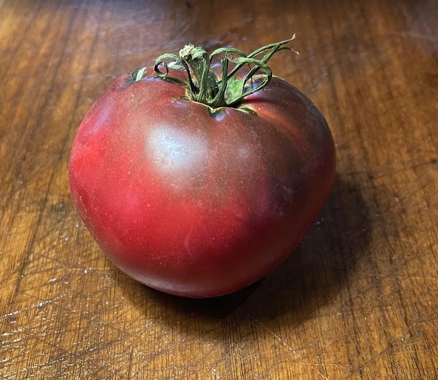 Carbon - Semillas de tomate - Tomate tradicional - Más de 25 semillas