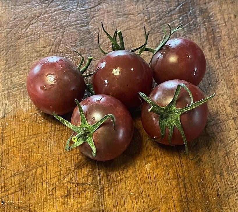 Graines de tomates cerises au chocolat - Tomates anciennes - 25+ graines