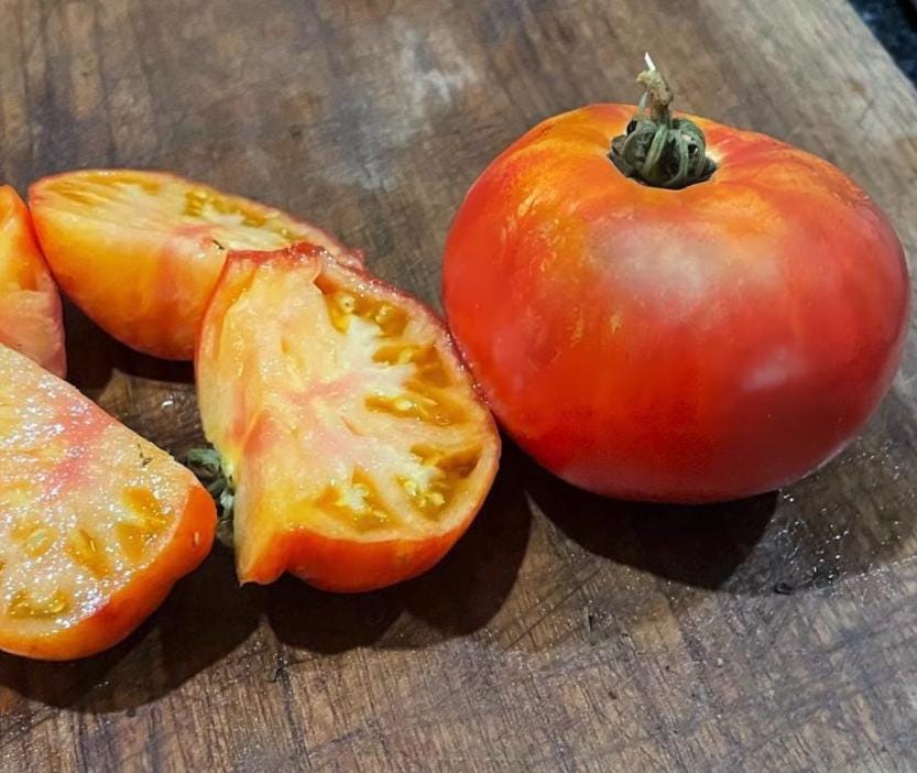 Piña - Semillas de tomate - Tomate tradicional - Más de 25 semillas