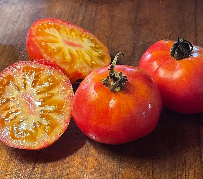 Hillbilly - Semillas de tomate - Tomate tradicional - Más de 25 semillas