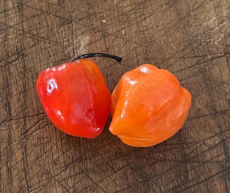 Scotch Bonnet - Piment fort Heirloom - 10+ graines