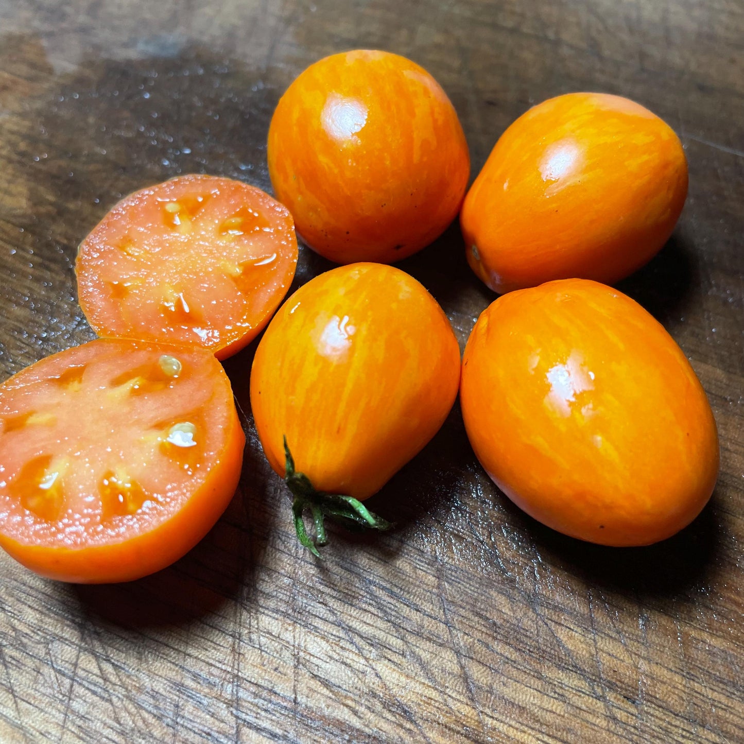 Apricot Zebra - Tomato Seeds - Heirloom Tomato - 25+ Seeds
