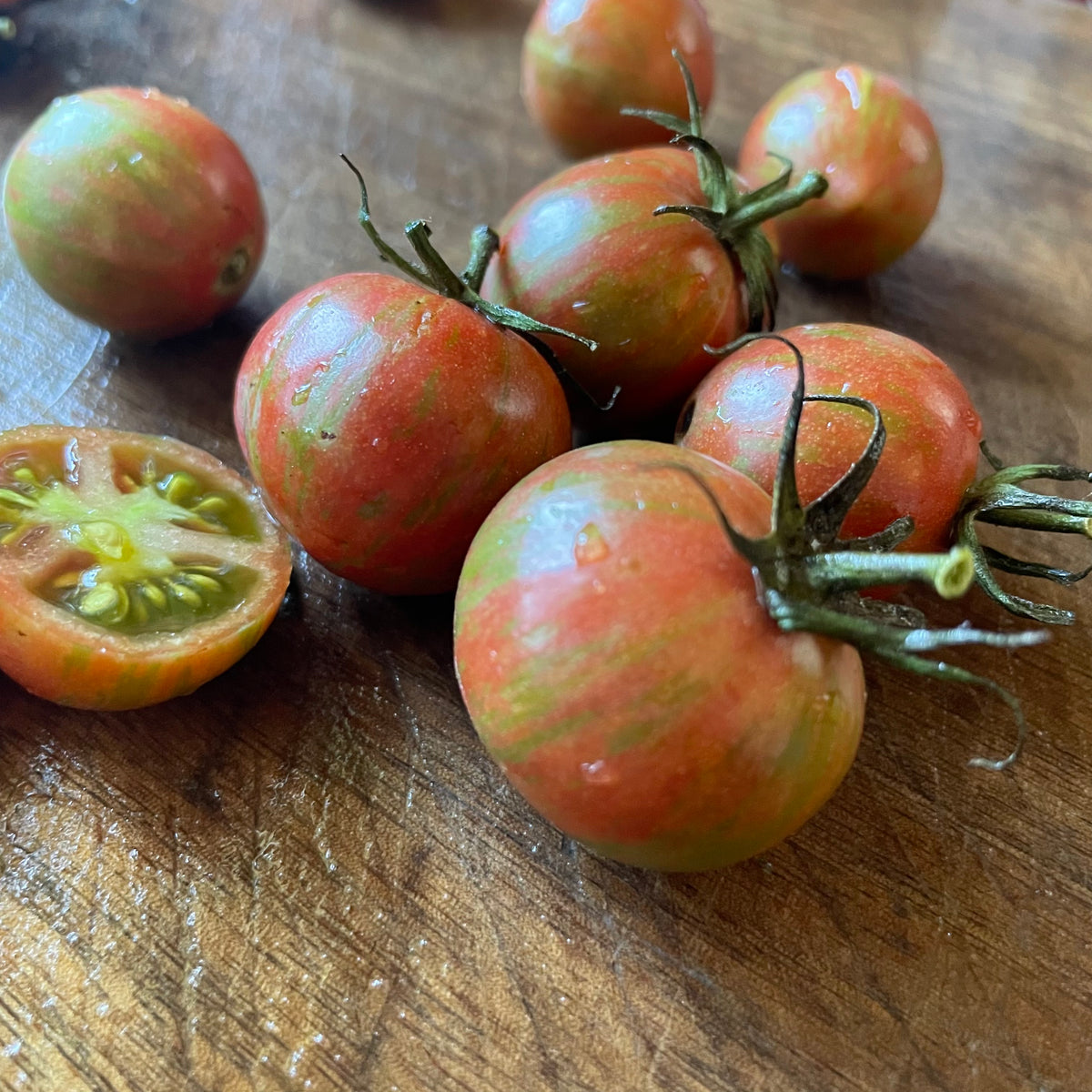 Purple Bumble Bee tomatoes photographed at Oak Summit Nursery.