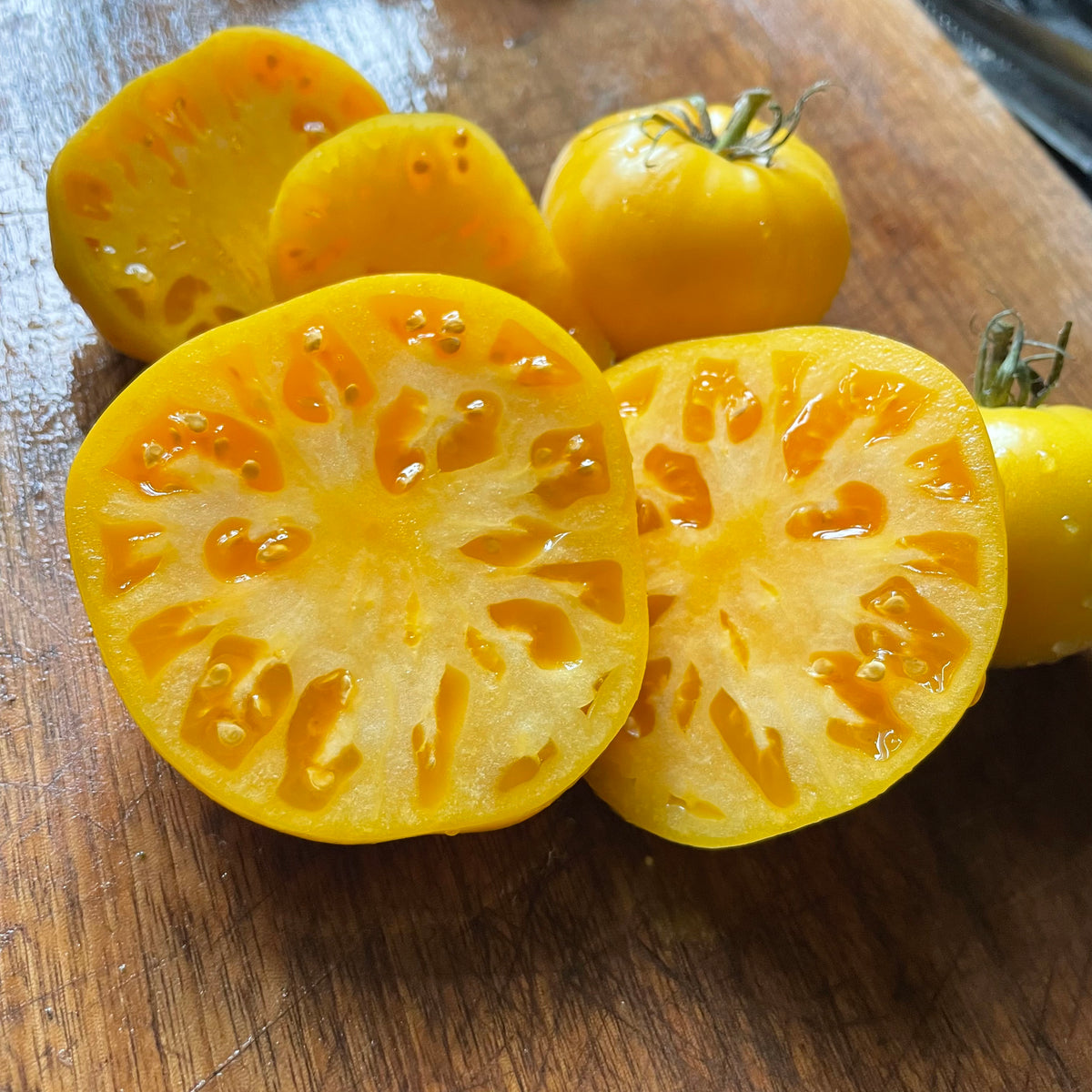 Dixie Golden Giant tomatoes photographed at Oak Summit Nursery.