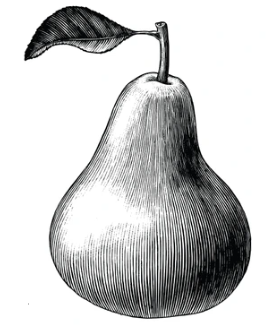 Bogataya Pear Tree