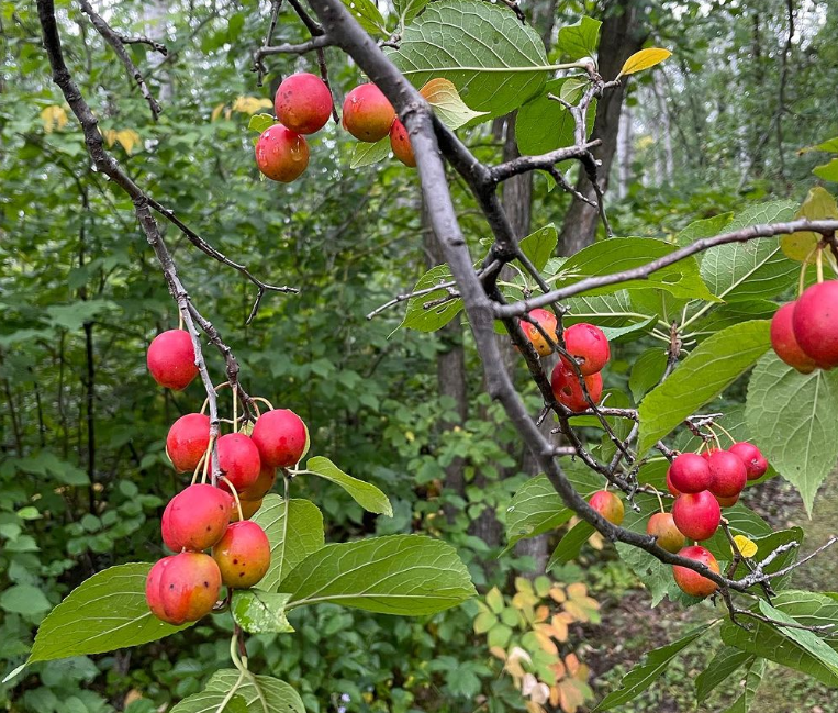 Copie de l'échantillon de liste de produits 3