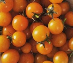 Sun Sugar Tomato Seeds - Cherry Tomato - Open Pollinated - 25+ Seeds