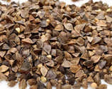 Graines De Sarrasin BIO – Fagopyrum Esculentum, Blé Noir, Fleurs Roses Mellifères – 150 Graines Pour Jardin, Engrais Vert, Sans Gluten - 7