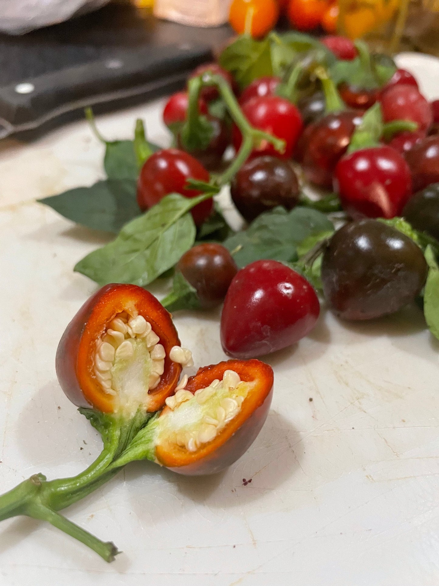 Sweet Cherry - Pepper Seeds - Heirloom Sweet Pepper - 10+ Seeds
