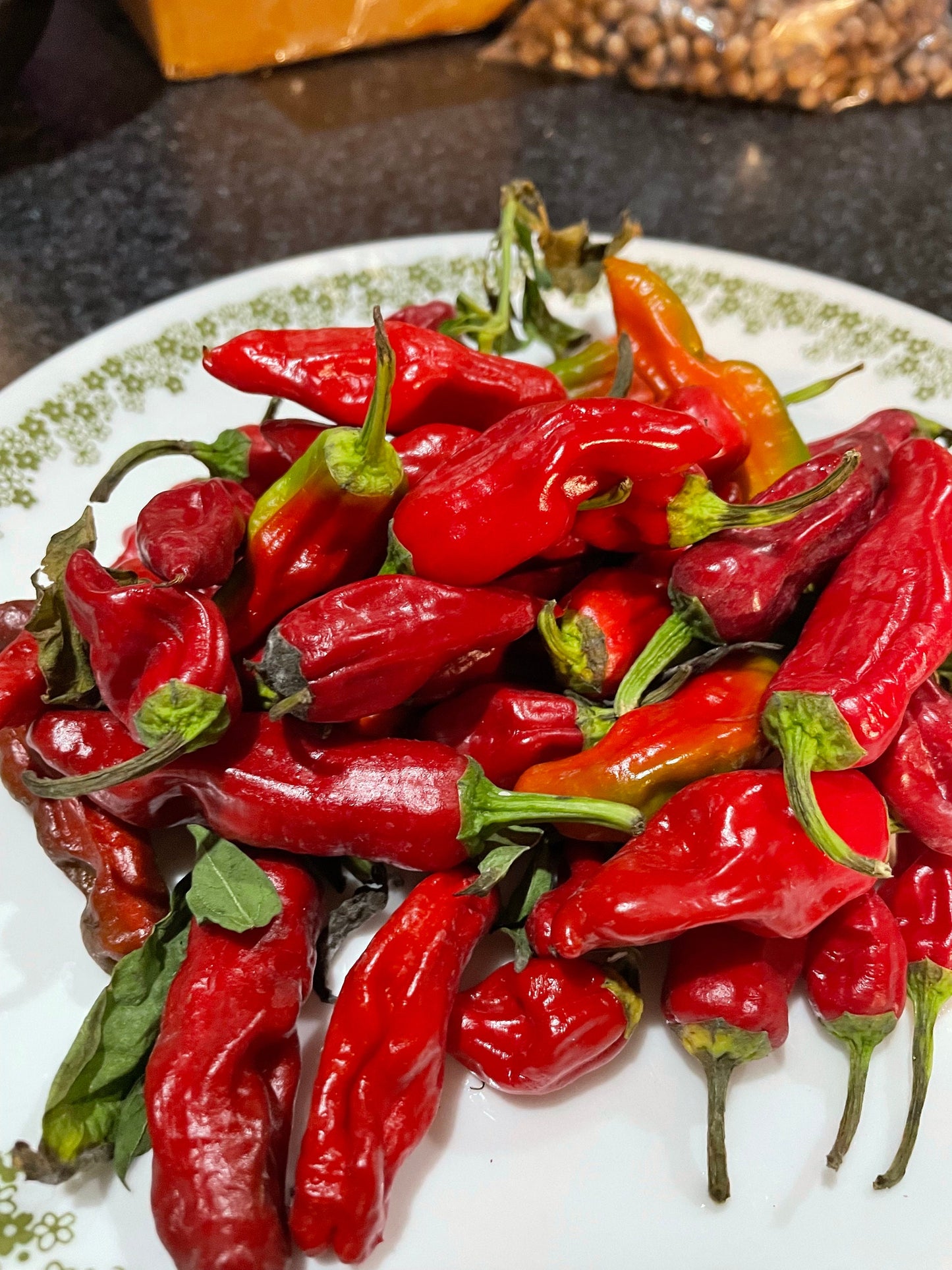 Shishito - Pepper Seeds - Heirloom Pepper - 10+ Seeds