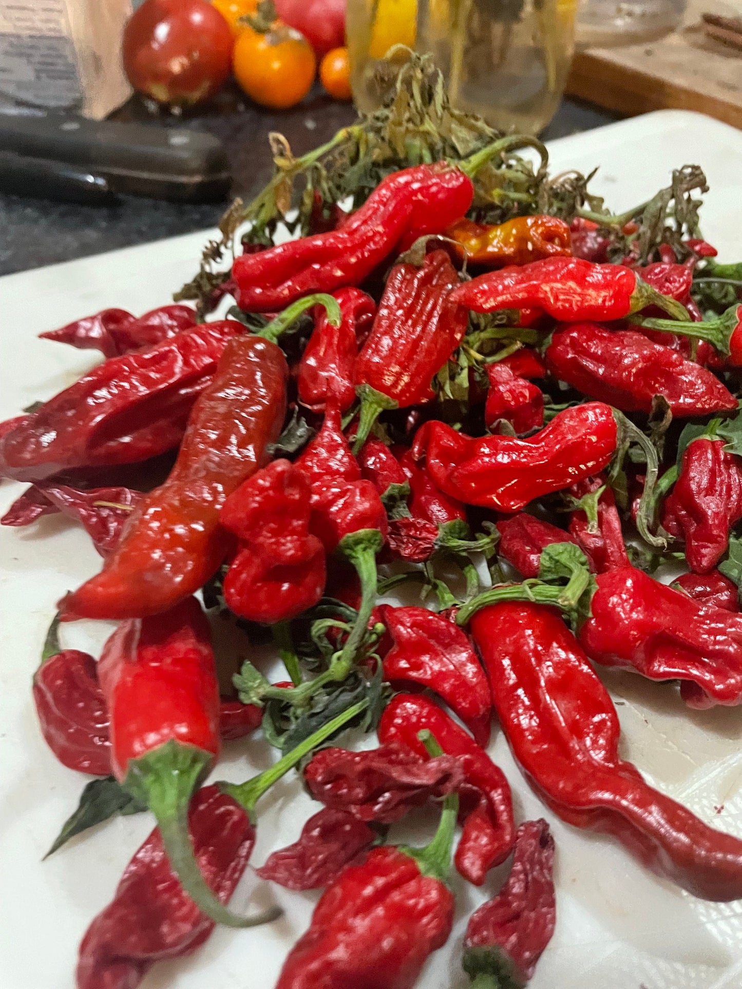 Shishito - Pepper Seeds - Heirloom Pepper - 10+ Seeds