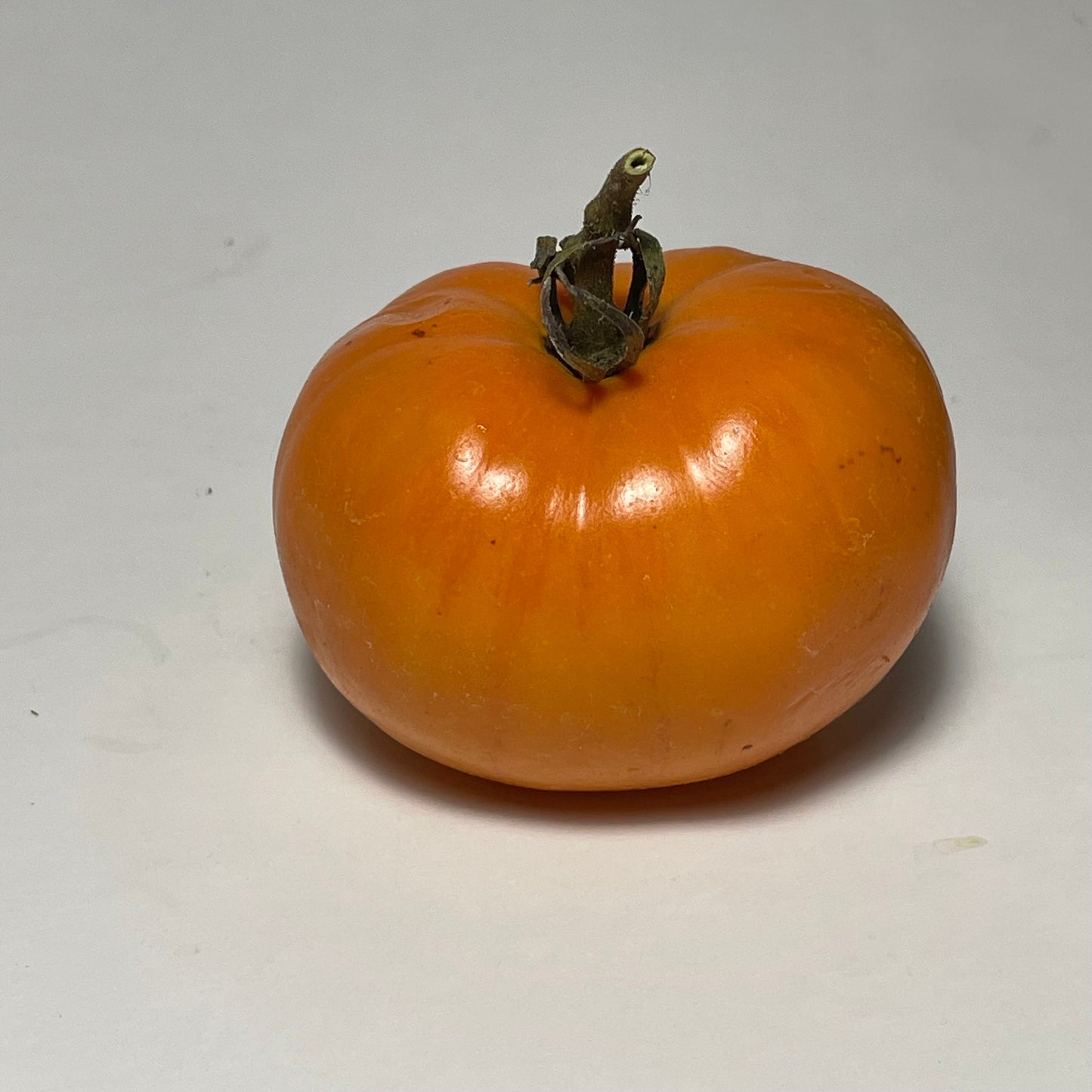Kellogg's Breakfast - Tomato Seeds - Heirloom Tomato - 25+ Seeds