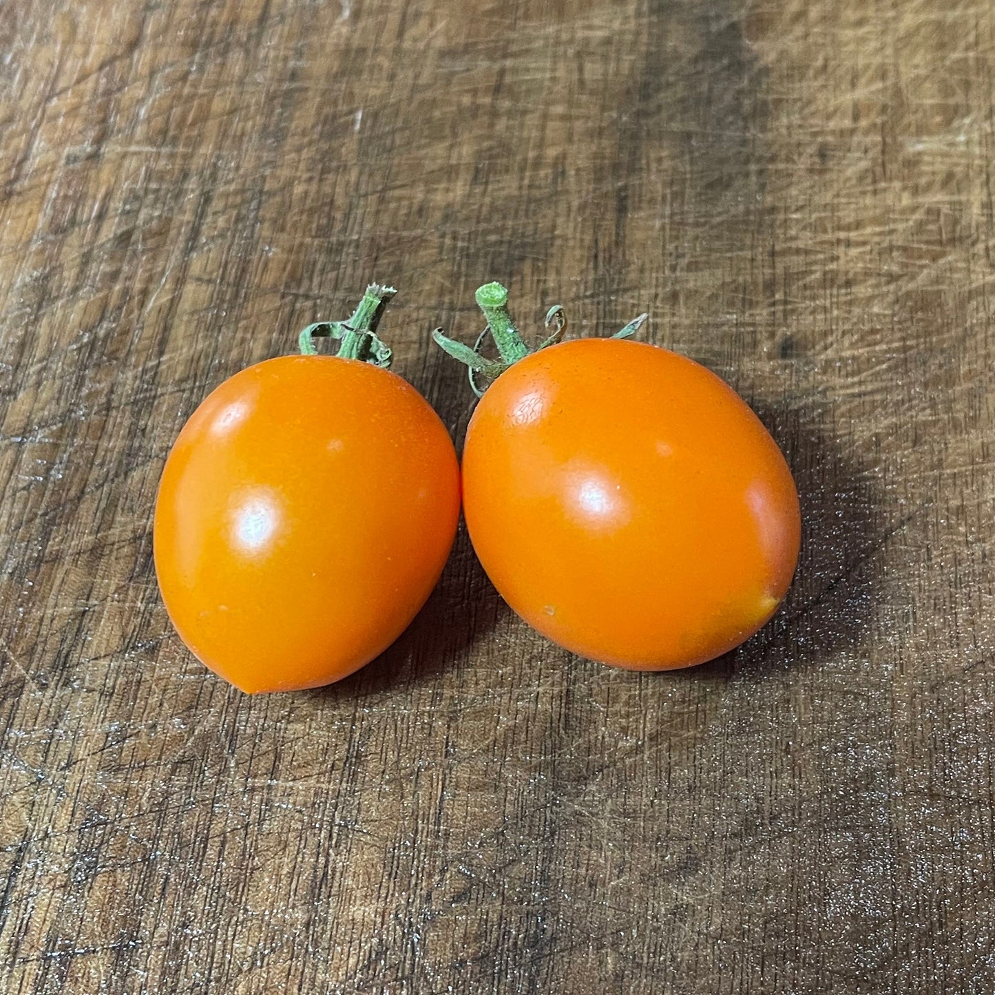 Sun Sugar XL - Tomato Seeds - 25+ Seeds