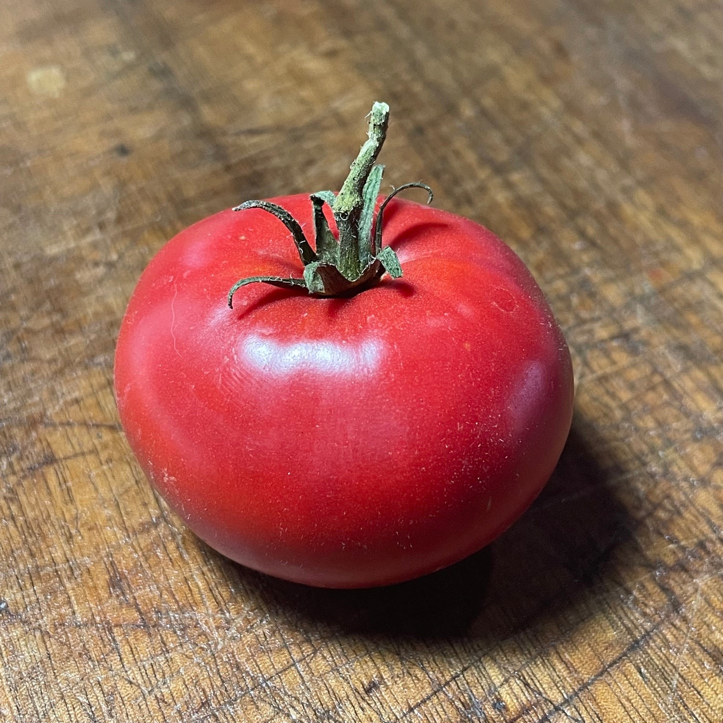 German Giant - Tomato Seeds - Heirloom Tomato - 25+ Seeds