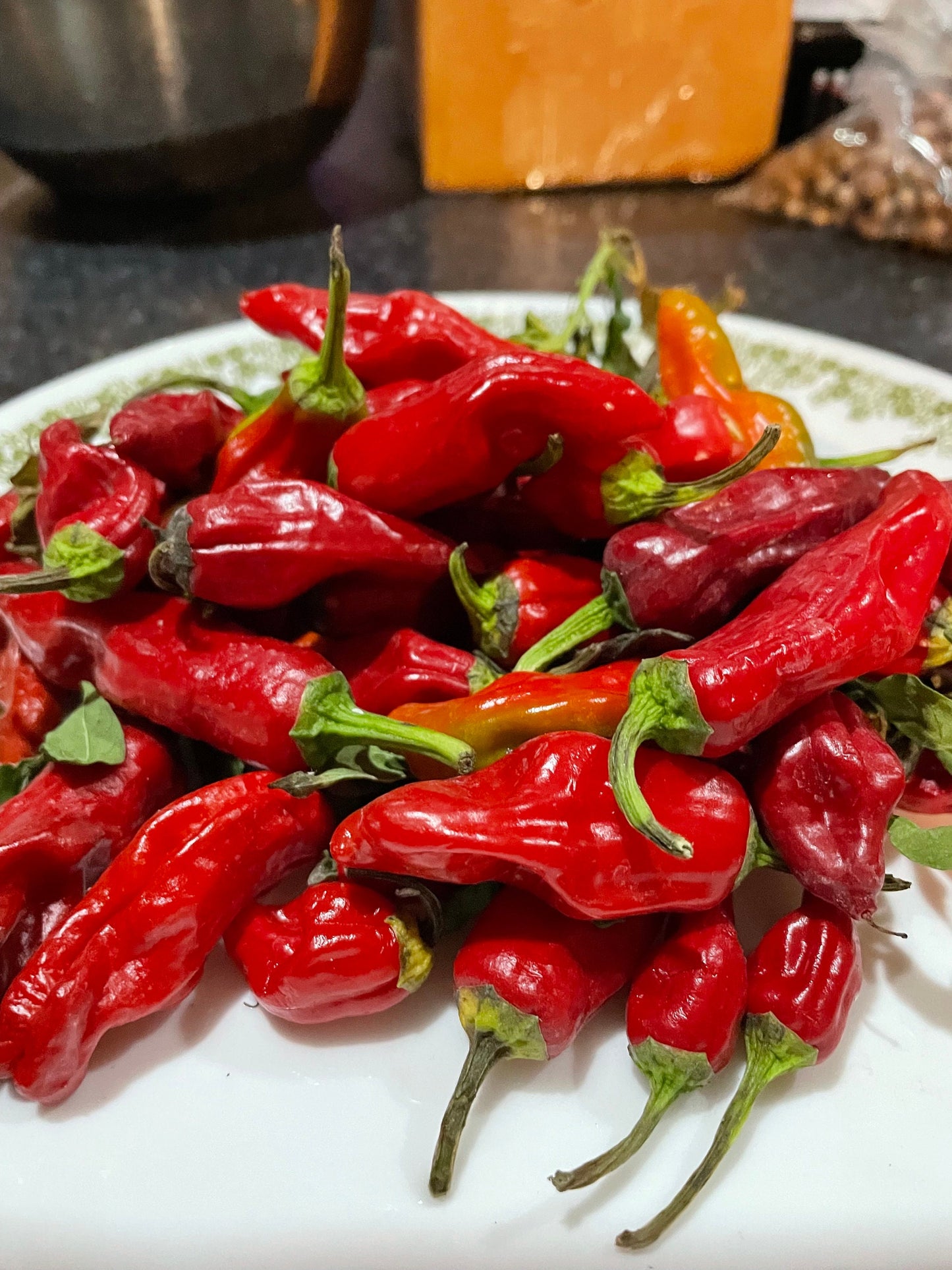 Pepperoncini - Graines de poivre - Piment doux héritage - 10+ graines