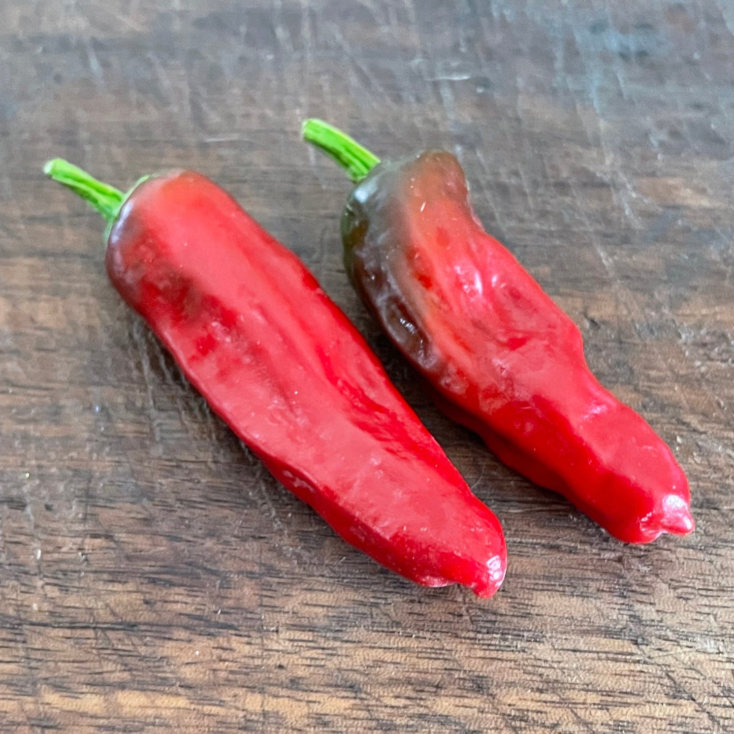Pepperoncini - Graines de poivre - Piment doux héritage - 10+ graines