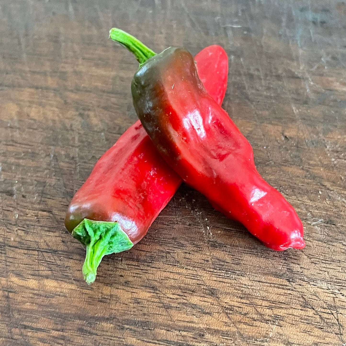 Pepperoncini - Graines de poivre - Piment doux héritage - 10+ graines