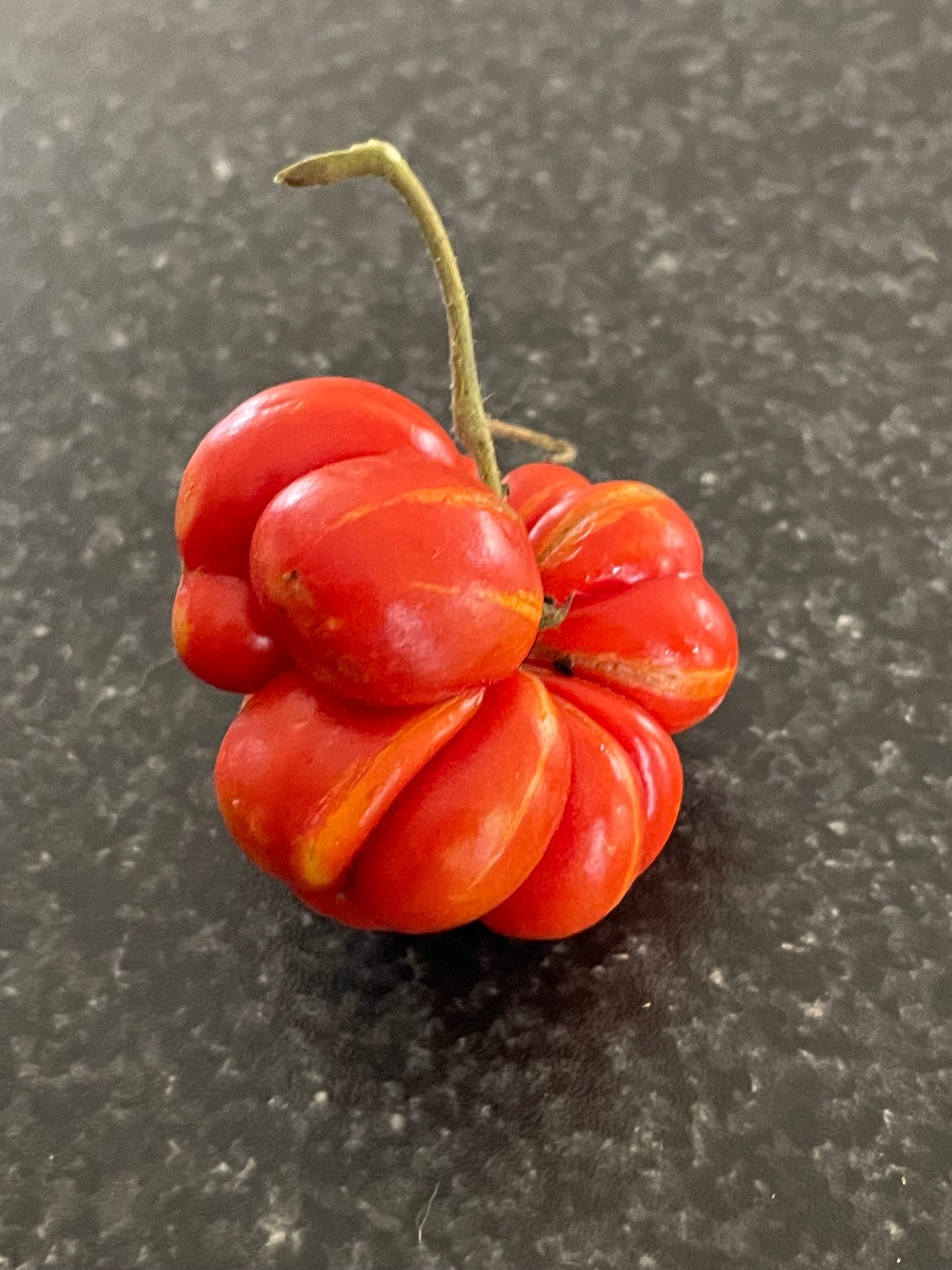 Godzilla - Graines de tomates - Tomates anciennes - 25+ graines