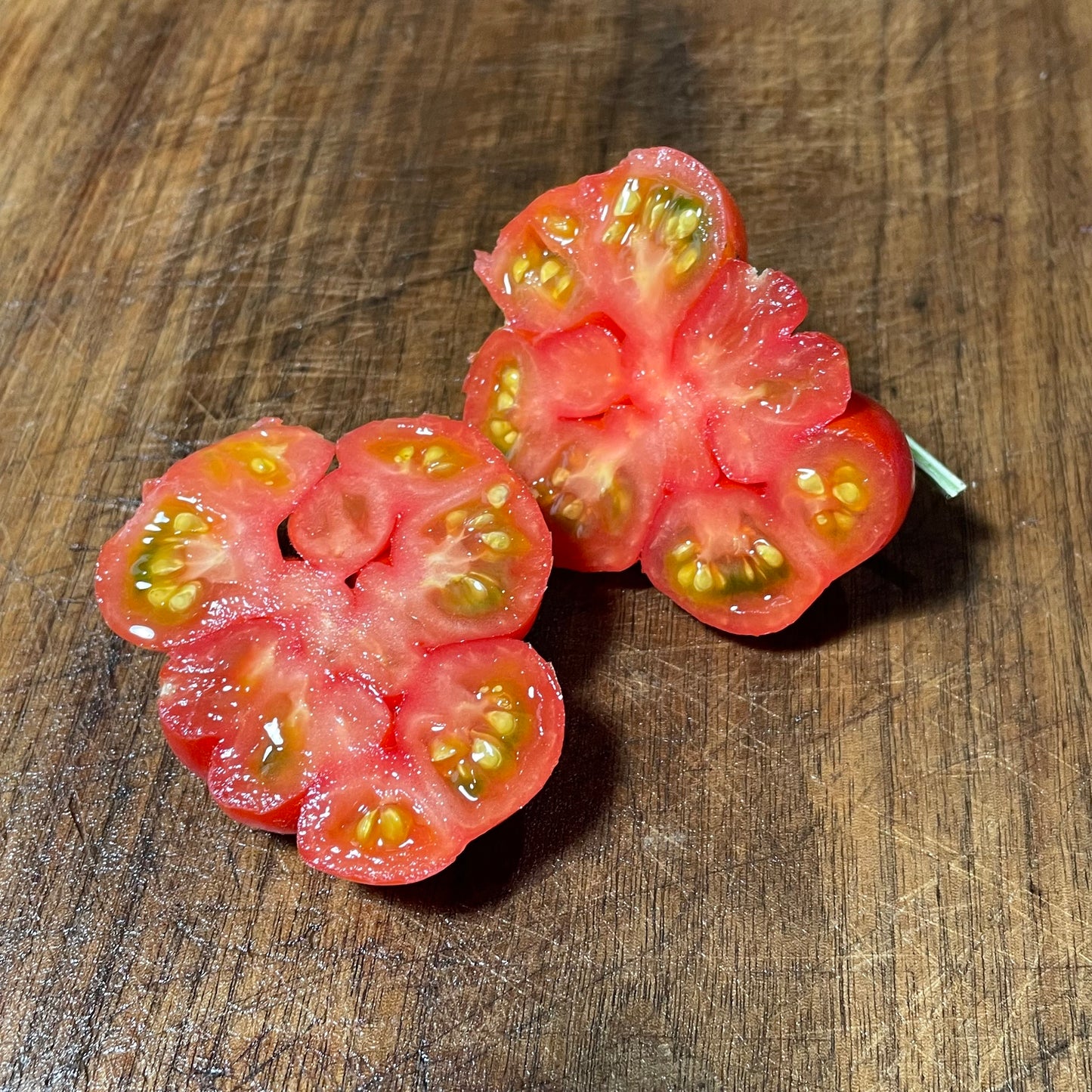 Godzilla - Graines de tomates - Tomates anciennes - 25+ graines