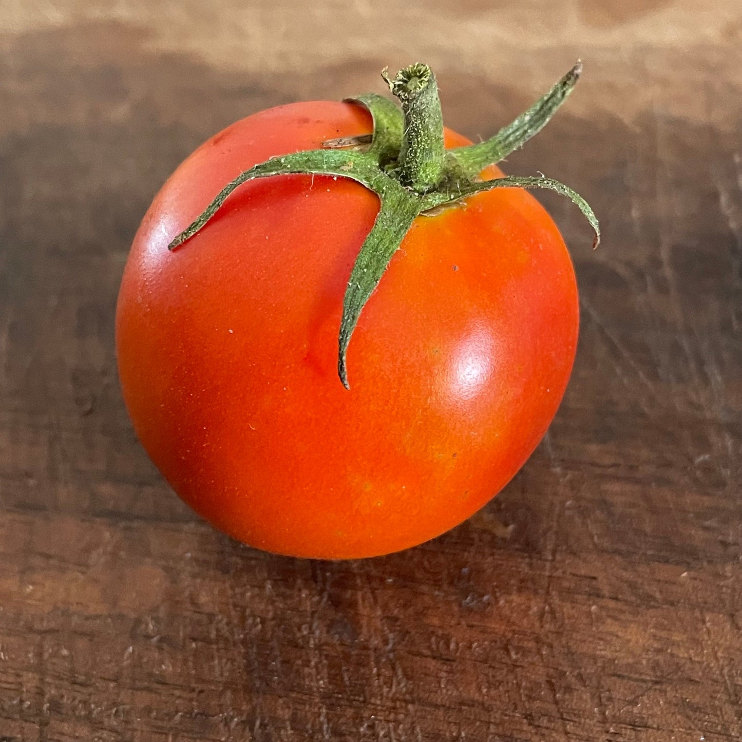 Lida Ukrainian - Tomato Seeds - Heirloom Tomato - 25+ Seeds