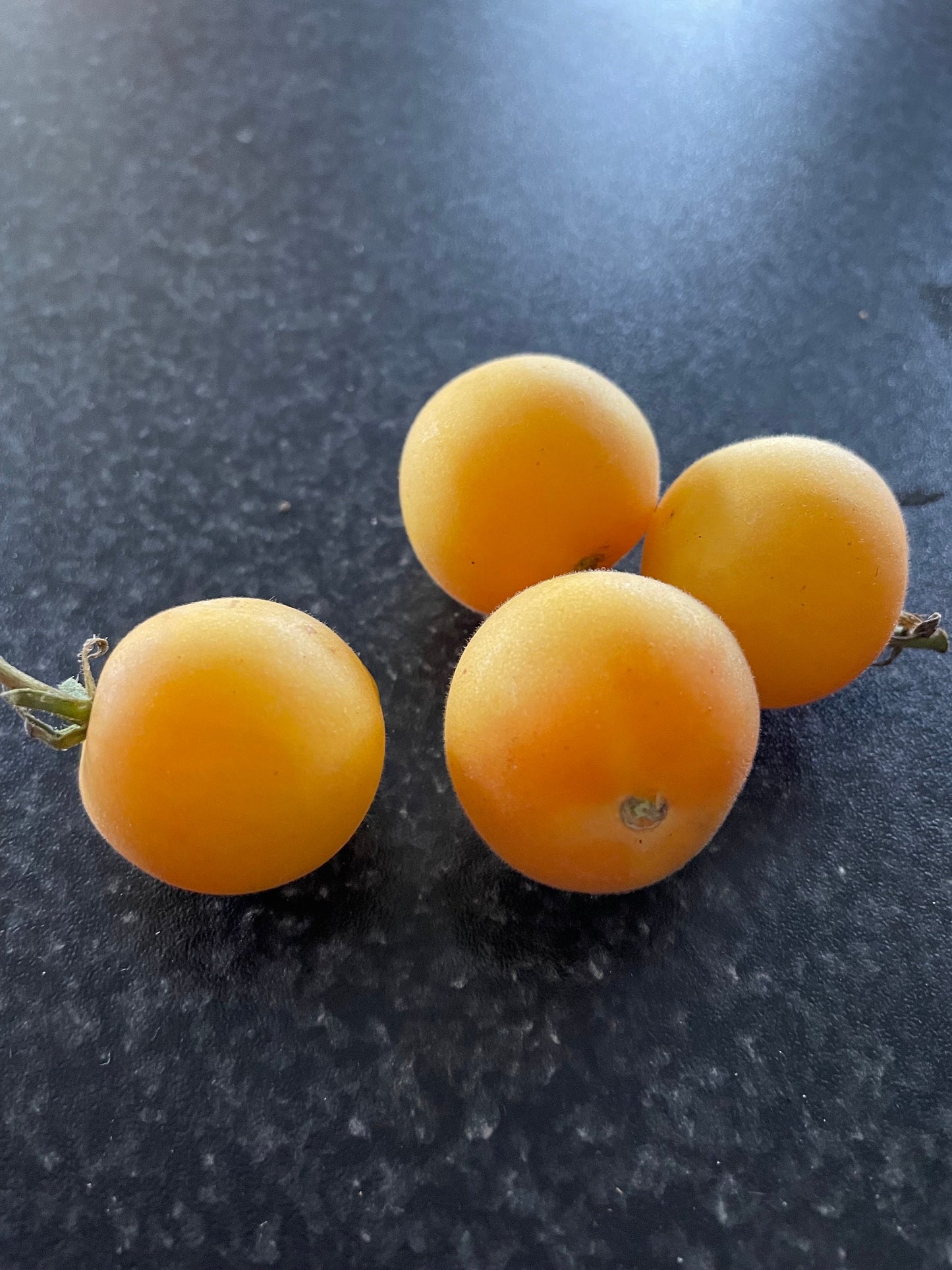 Pêche de jardin - Graines de tomates - Tomates anciennes - 25+ graines