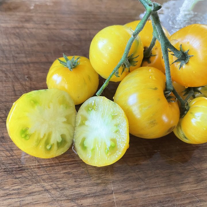 Tomato Seeds – Oak Summit Nursery