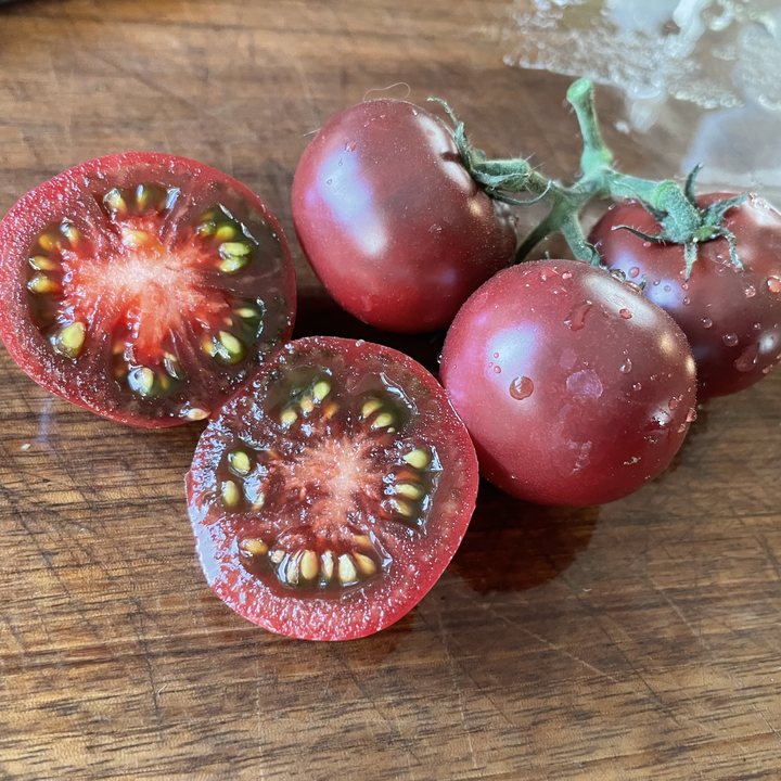 Tomato Seeds – Oak Summit Nursery