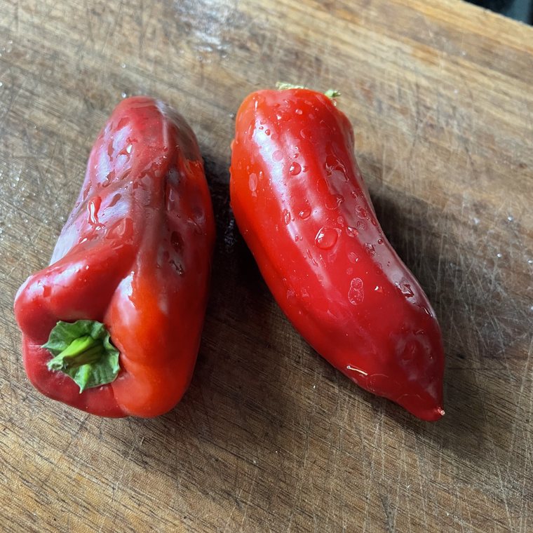 Oak Summit 2026 Poblano pepper - photo 1