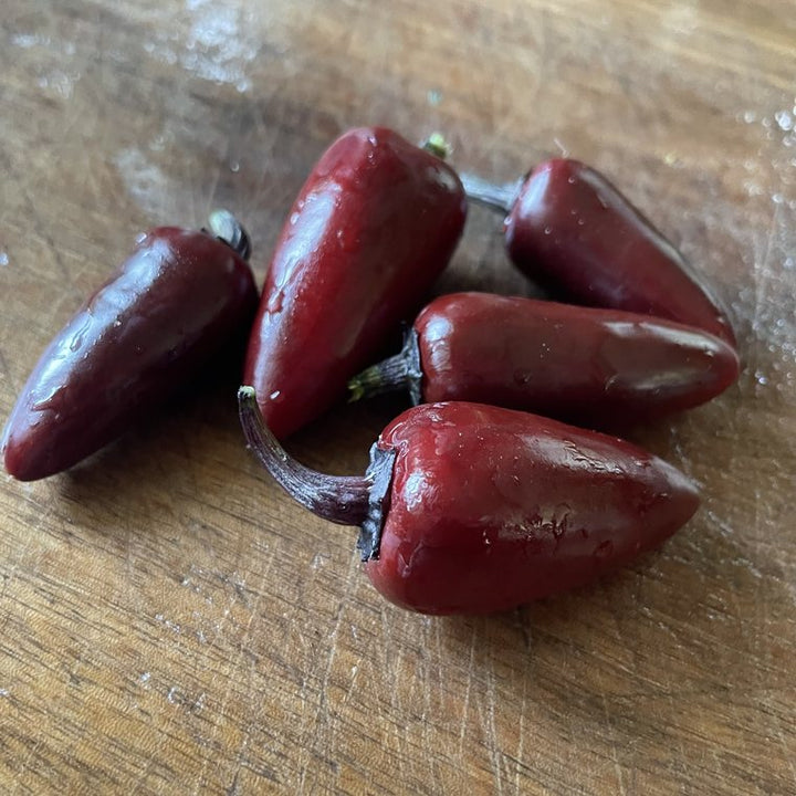 Oak Summit 2026 Czech Black pepper - photo 1