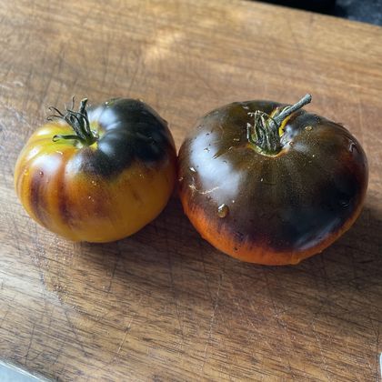 Lucid Gem tomato fruit - photo 3
