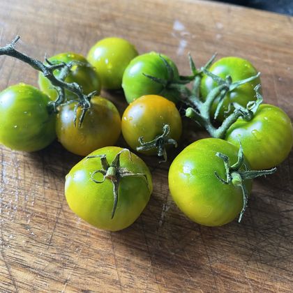 Fat Frog Micro Dwarf tomato fruit - photo 2
