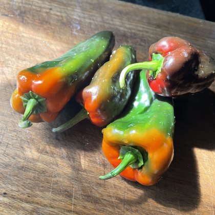Oak Summit 2026 Poblano pepper - photo 2