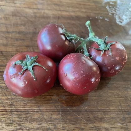 Dwarf Velvet Night tomato fruit - photo 4