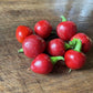Oak Summit 2026 Sweet Cherry pepper - photo 3