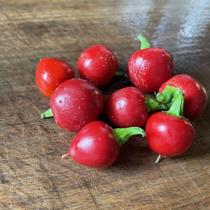 Oak Summit 2026 Sweet Cherry pepper - photo 3