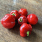 Oak Summit 2026 Hot Paper Lantern pepper - photo 3