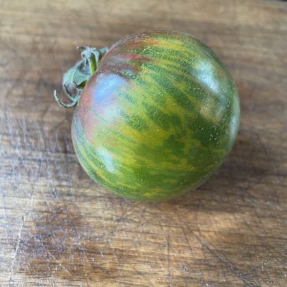 Rebel Starfighter: Penny Lane tomato fruit - photo 7