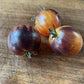 Rebel Starfighter Kayleigh Anne tomato fruit - photo 4