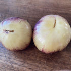 
Dirty Curty Yellow