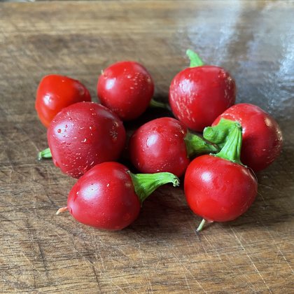 Oak Summit 2026 Sweet Cherry pepper - photo 4