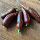 Oak Summit 2026 Brown Jalapeno pepper - photo 4